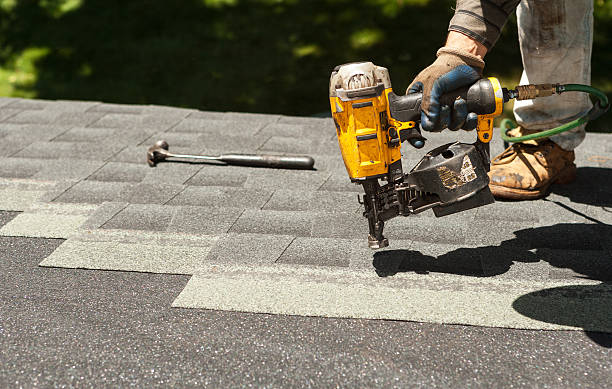 Best Roof Gutter Cleaning  in Point Roberts, WA